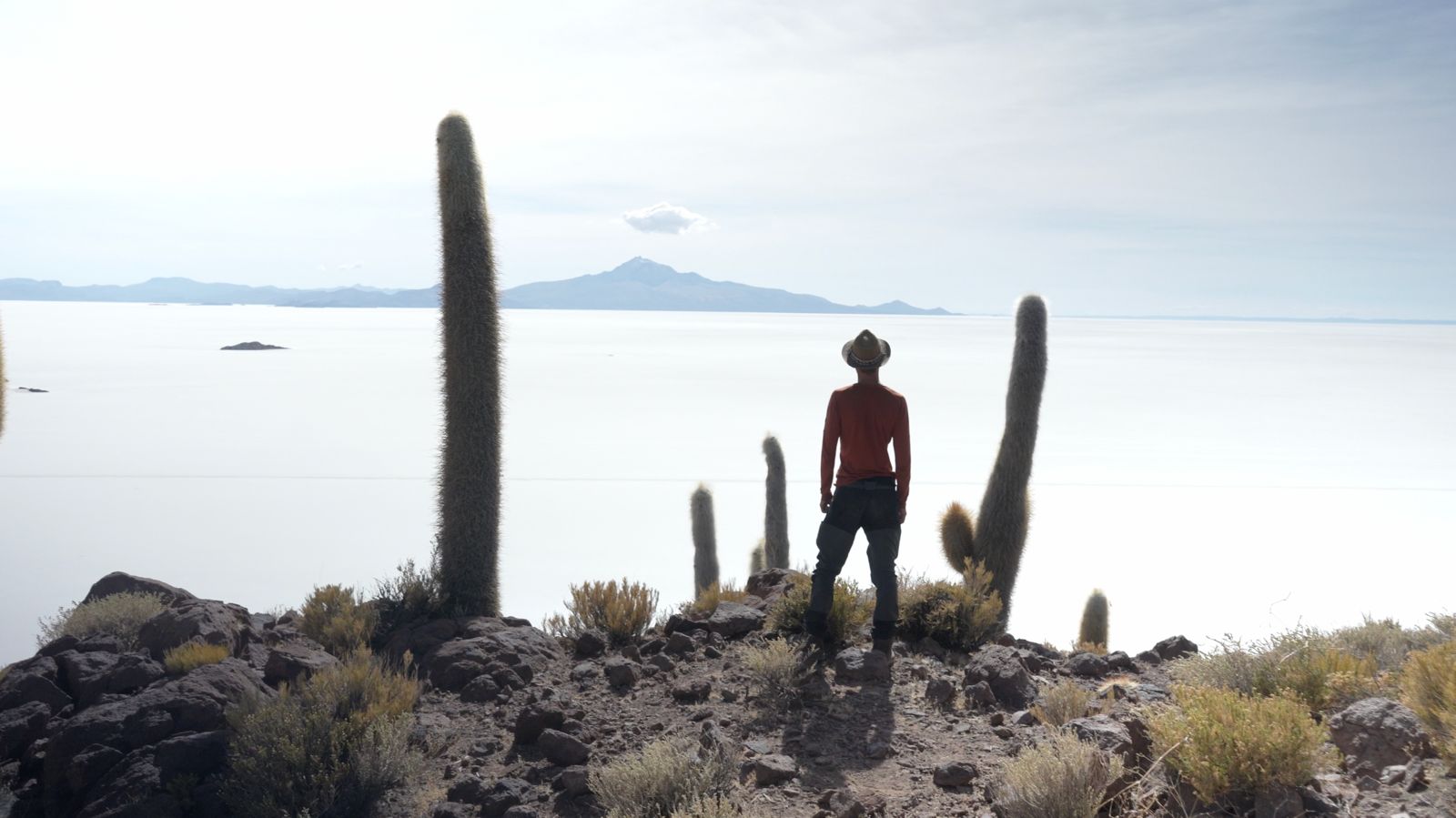 L&eacute;o face au d&eacute;sert de sel entour&eacute; de cactus